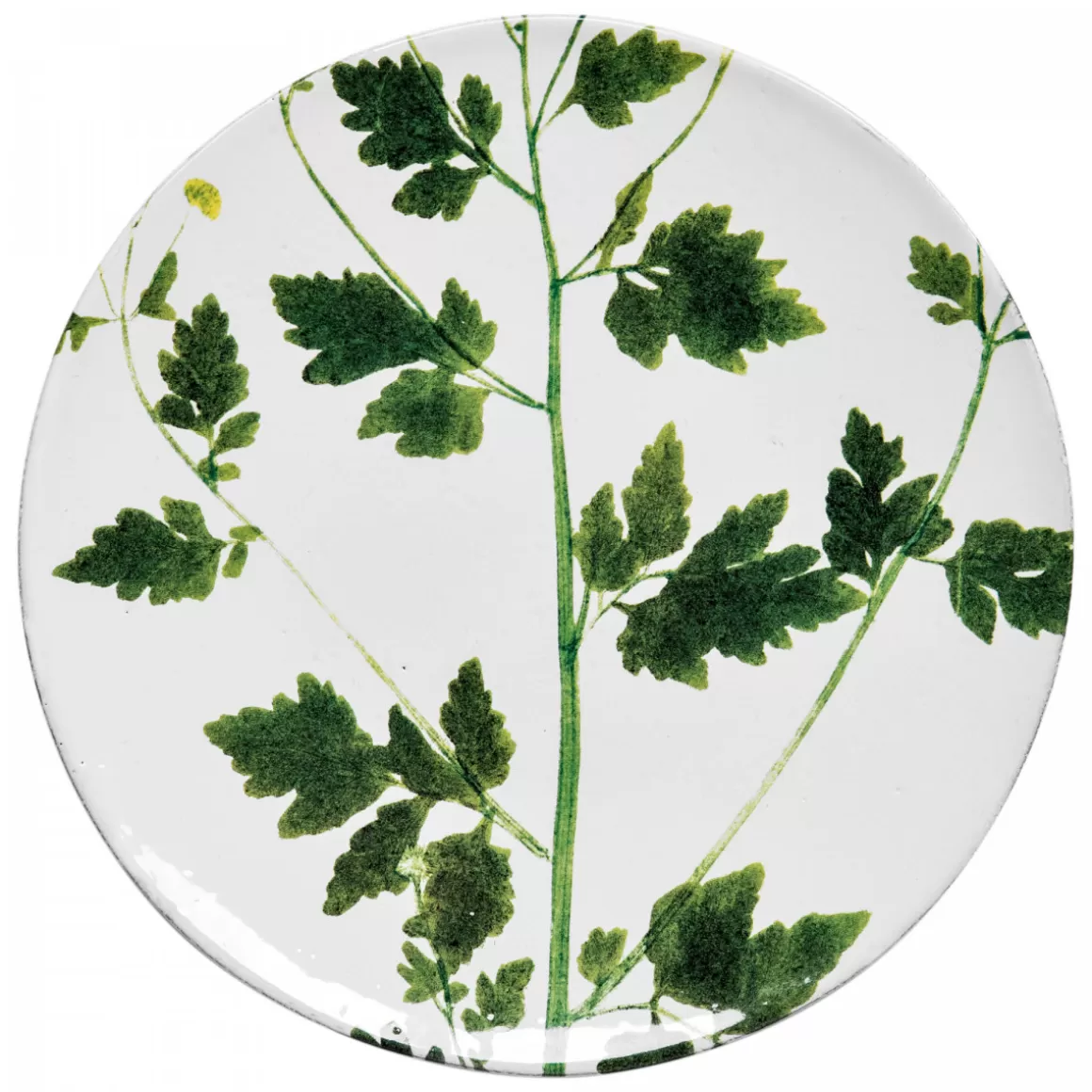 Astier de Villatte Matricaria Plate