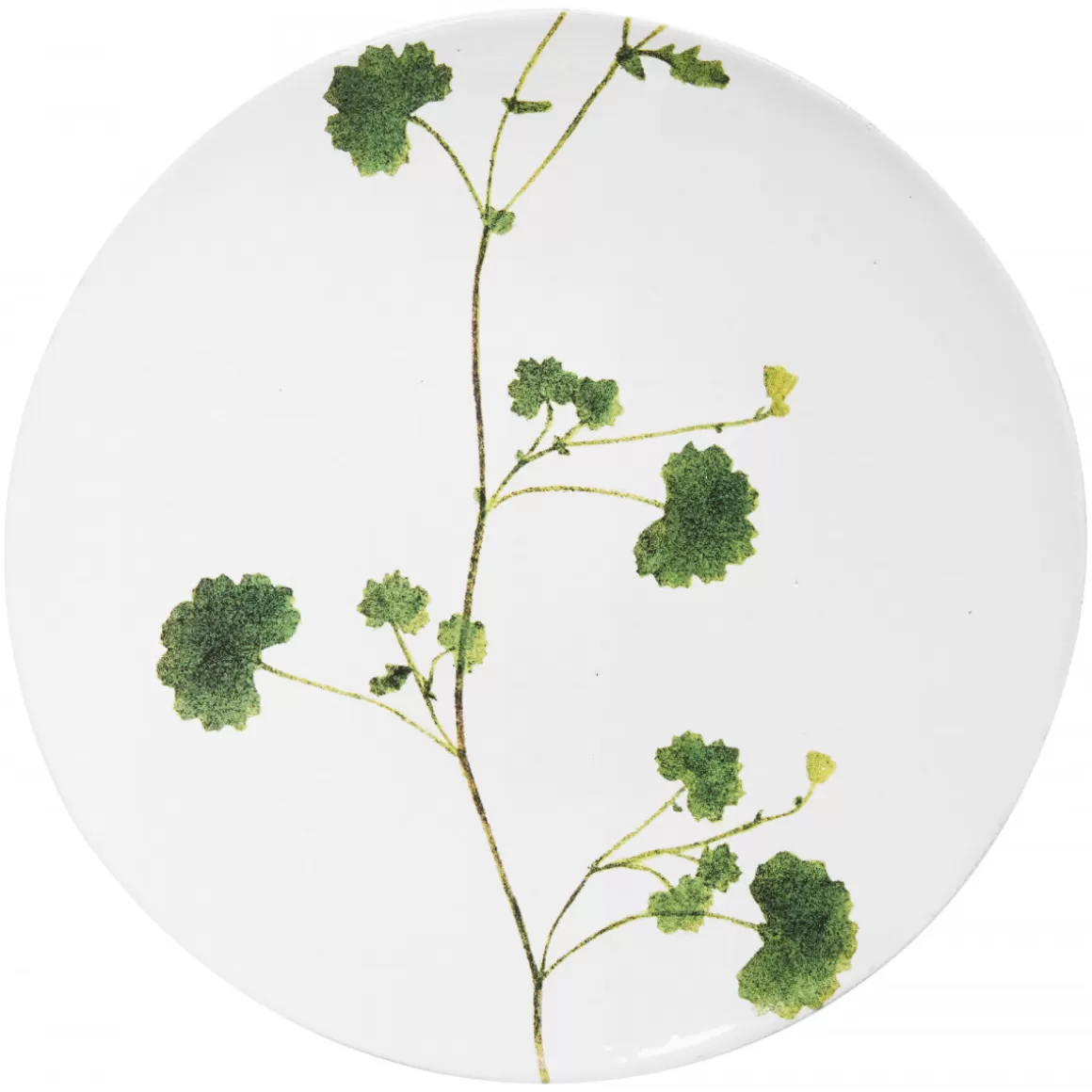 Astier de Villatte Othona Plate