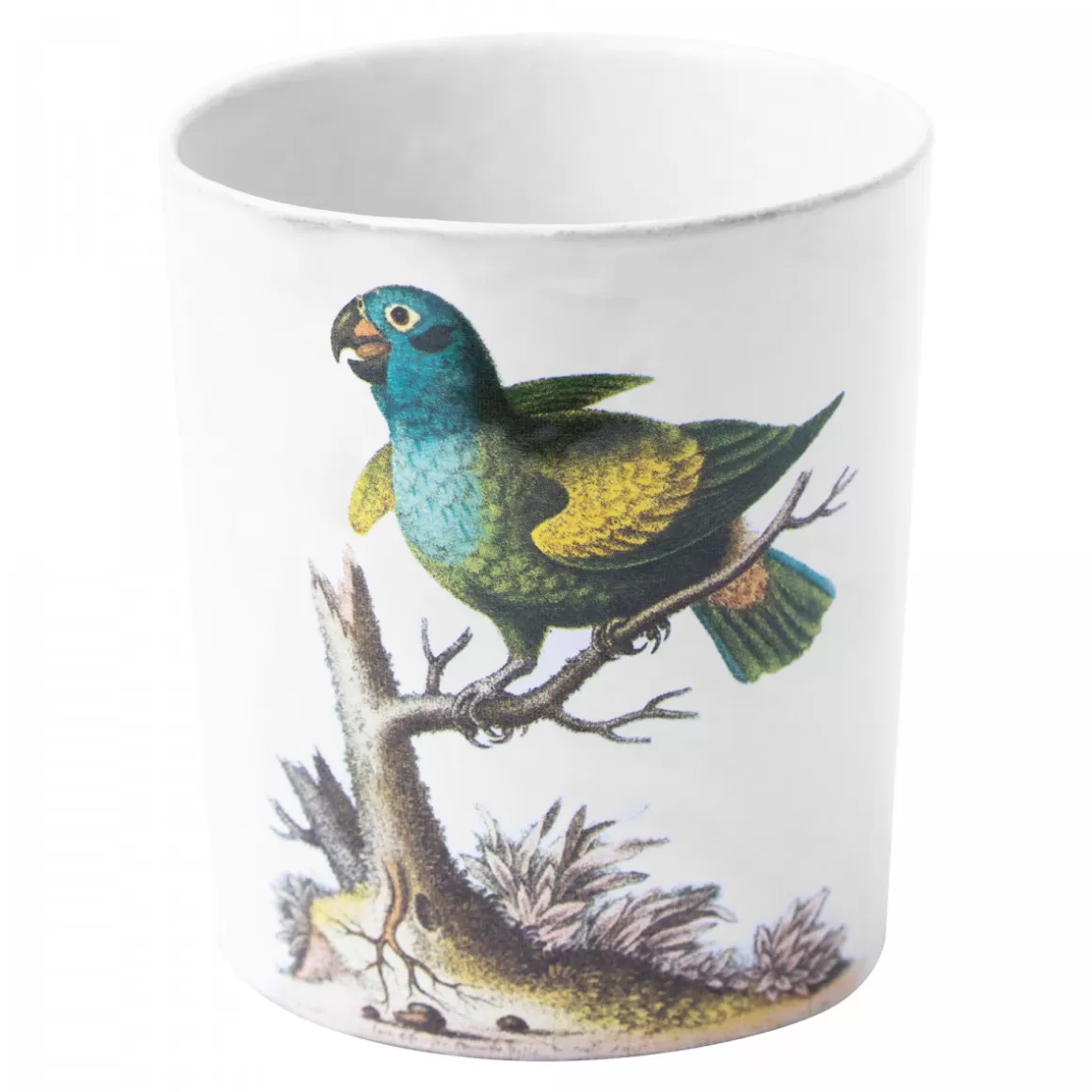 Astier de Villatte Parrot Tumbler