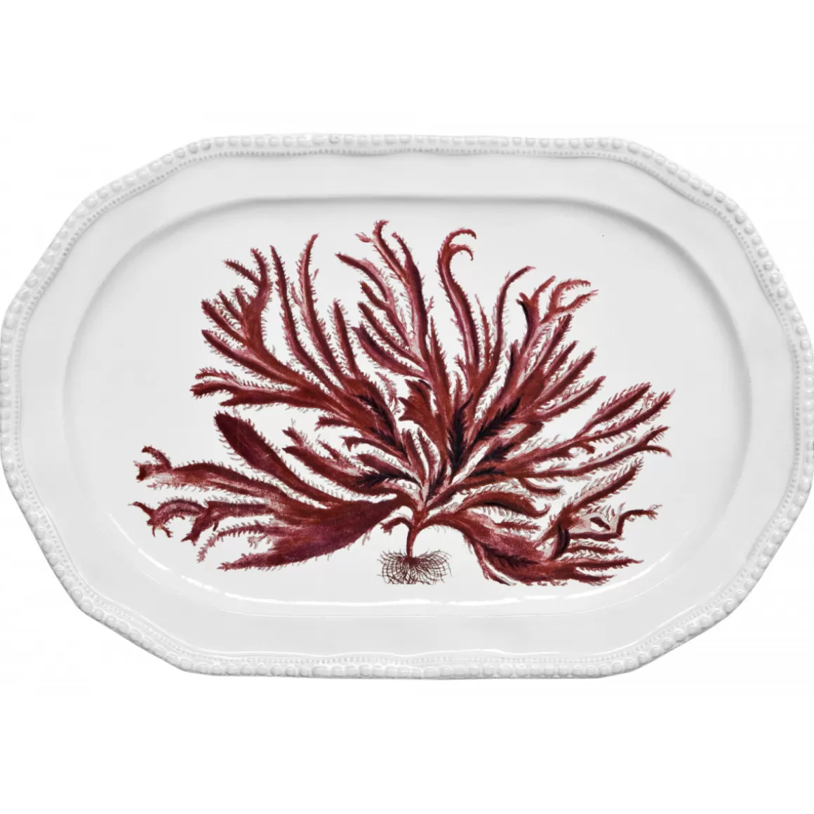 Astier de Villatte Red Seaweed Platter