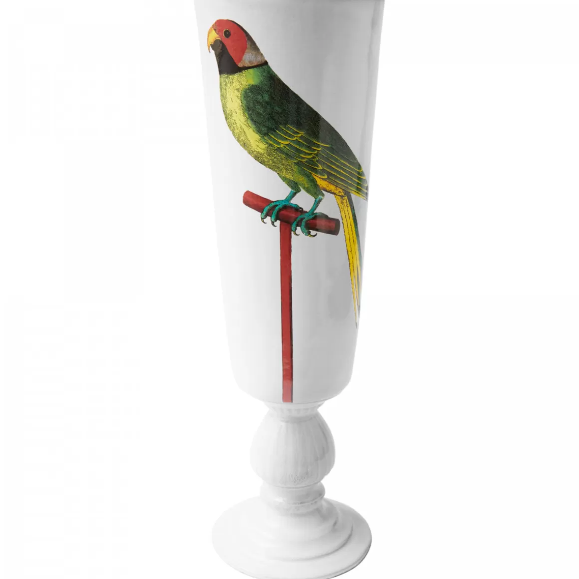 Astier de Villatte Tall Albin Fridatutah Bengal Parrot Vase