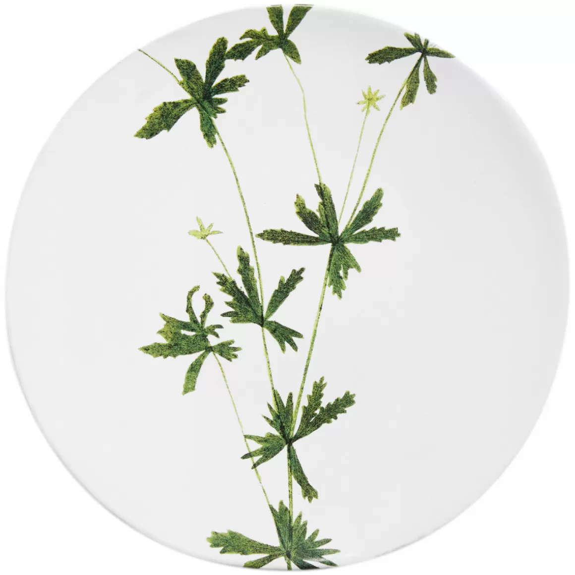 Astier de Villatte Tormentilla Plate