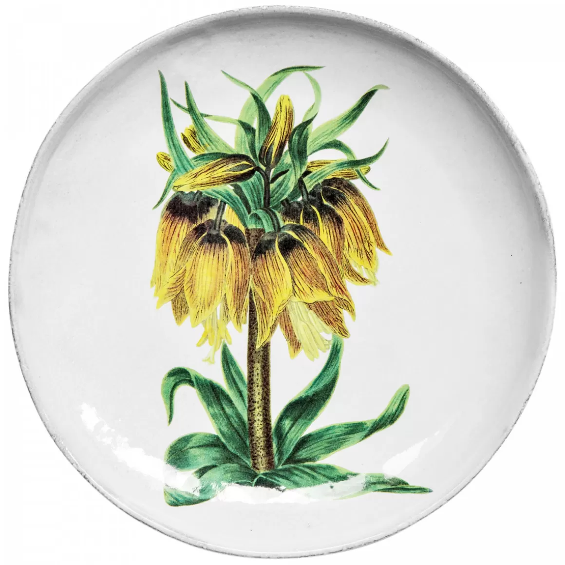 Astier de Villatte Yellow Flower Dinner Plate